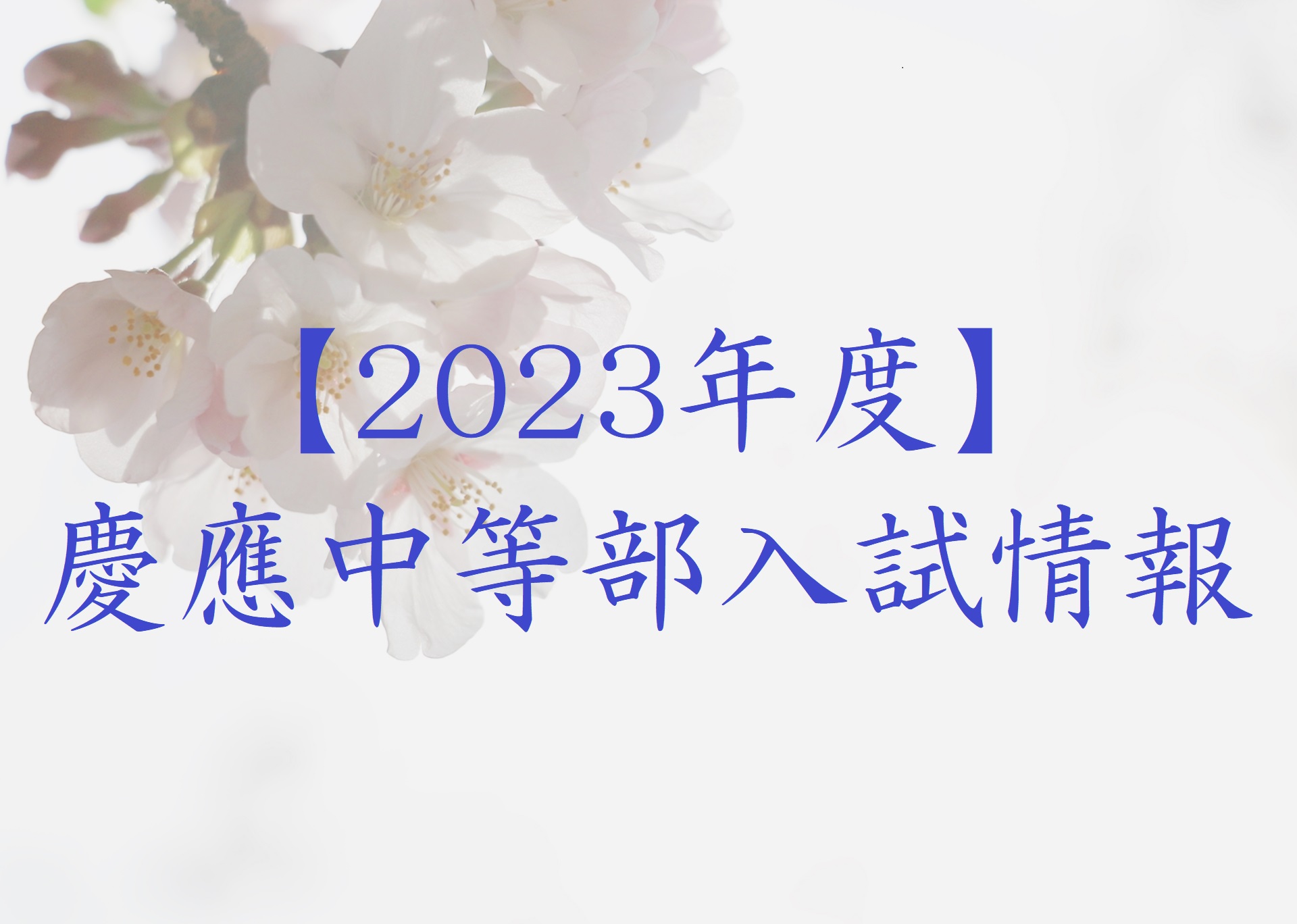 慶應義塾中等部 学校説明会資料本 2023年度 SFC普通部 難関共学中学 